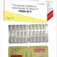 phage-gp-2-tab-1000x1000
