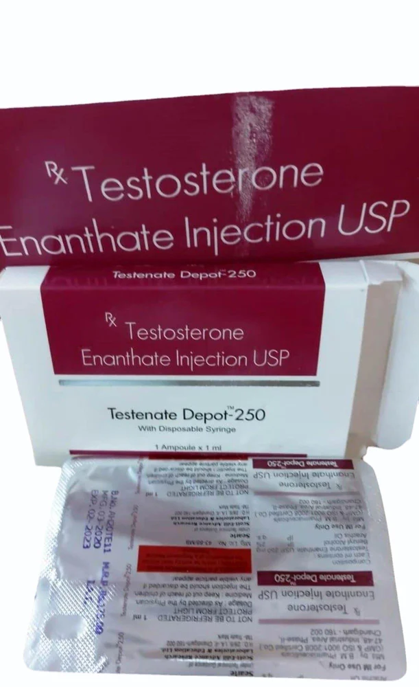 TESTENATE DEPOT 250 INJ