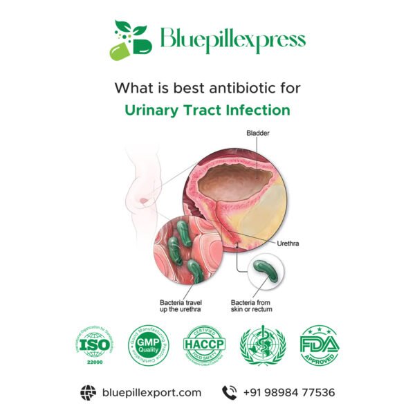 The Best Antibiotics for Urinary Tract Infections (UTIs): A Complete Guide