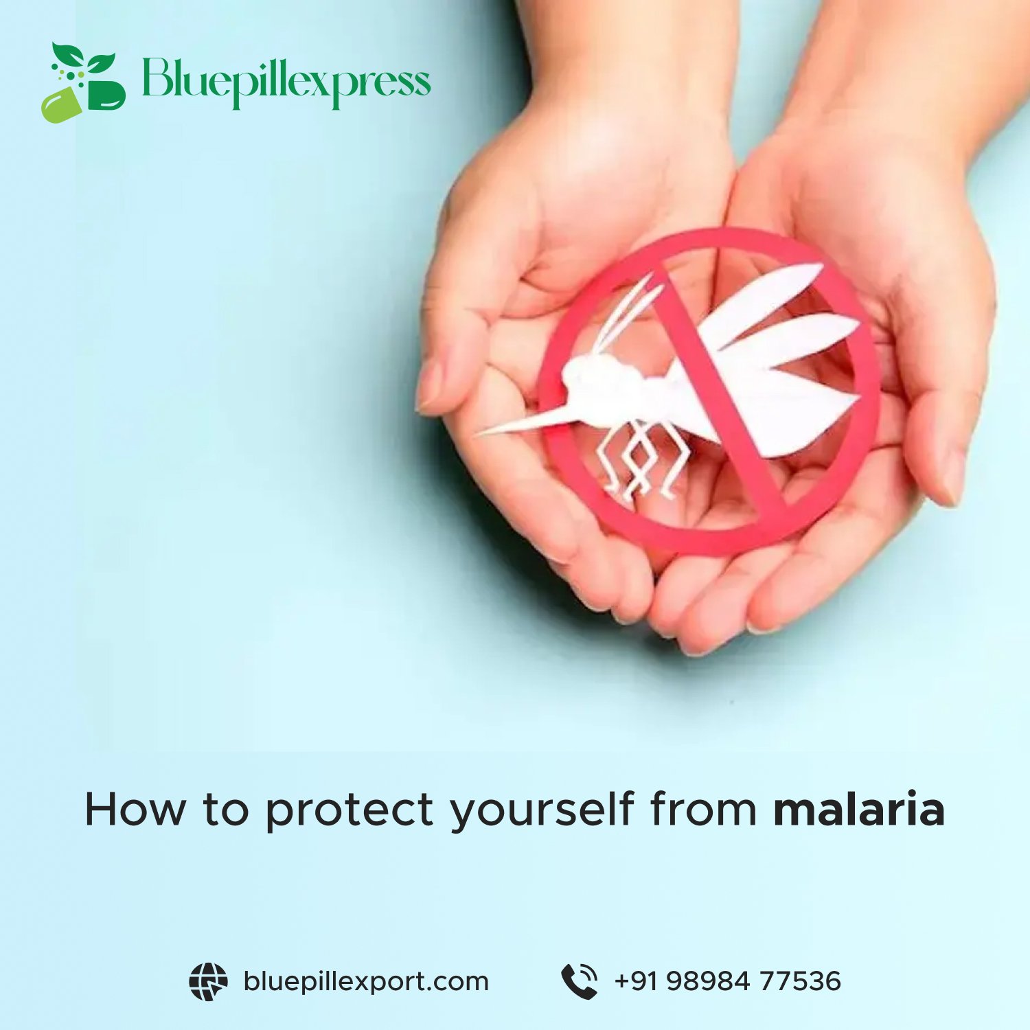 How to Avoid Malaria
