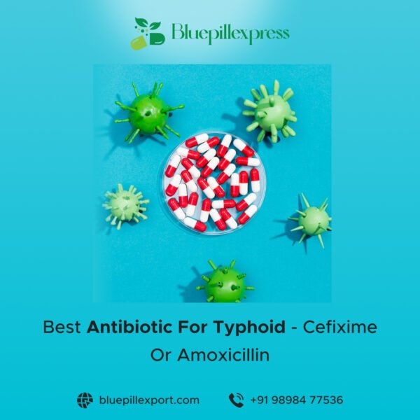Best Antibiotic For Typhoid Cefixime Or Amoxicillin