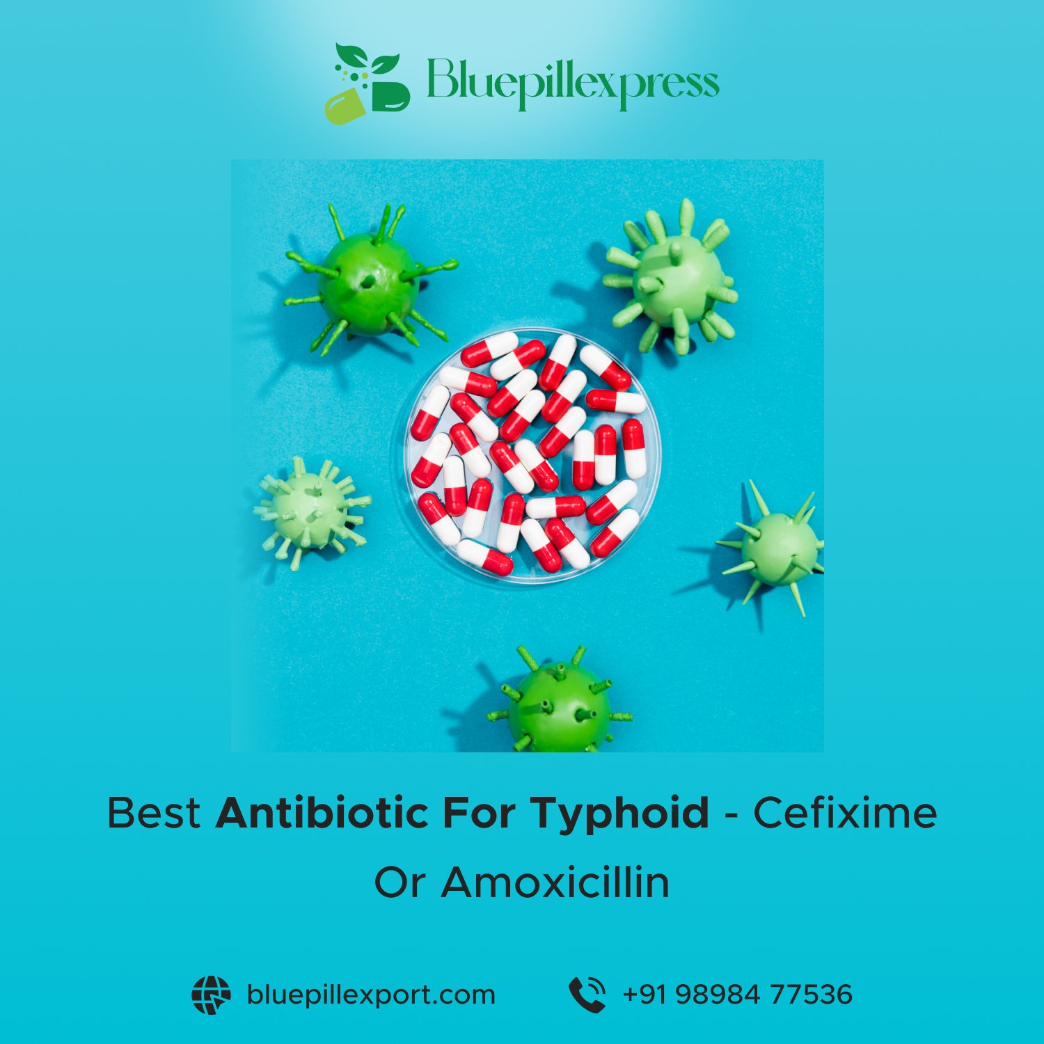 Antibiotic For Typhoid