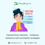Typhoid Fever Infection: Rising Antibiotic
